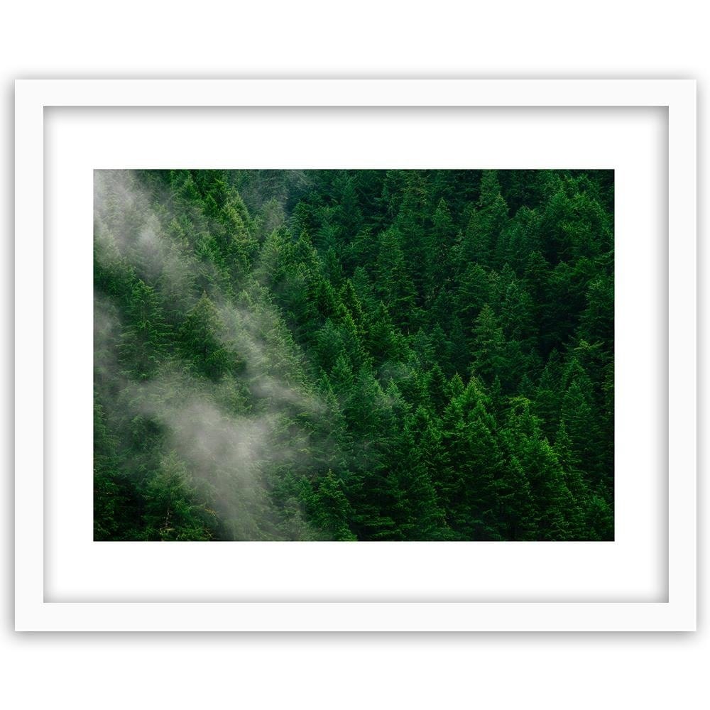 Glezna baltā rāmī - Mist Over The Forest  Home Trends DECO