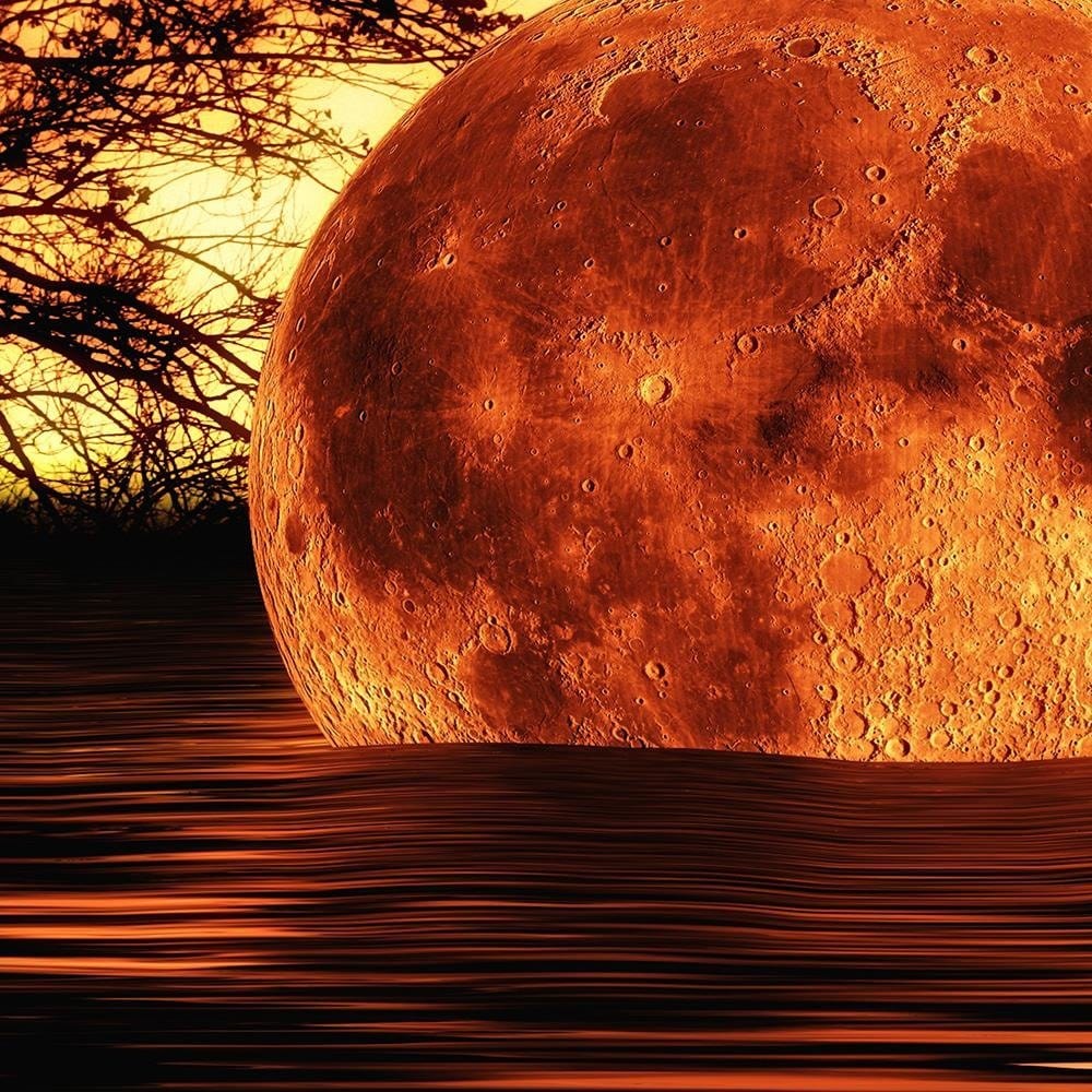 Glezna baltā rāmī - Moon In The Sea  Home Trends DECO