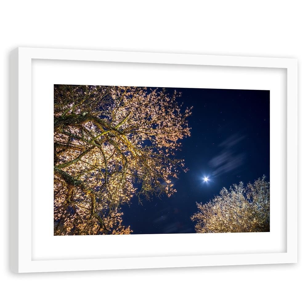 Glezna baltā rāmī - Moon Over Trees  Home Trends DECO