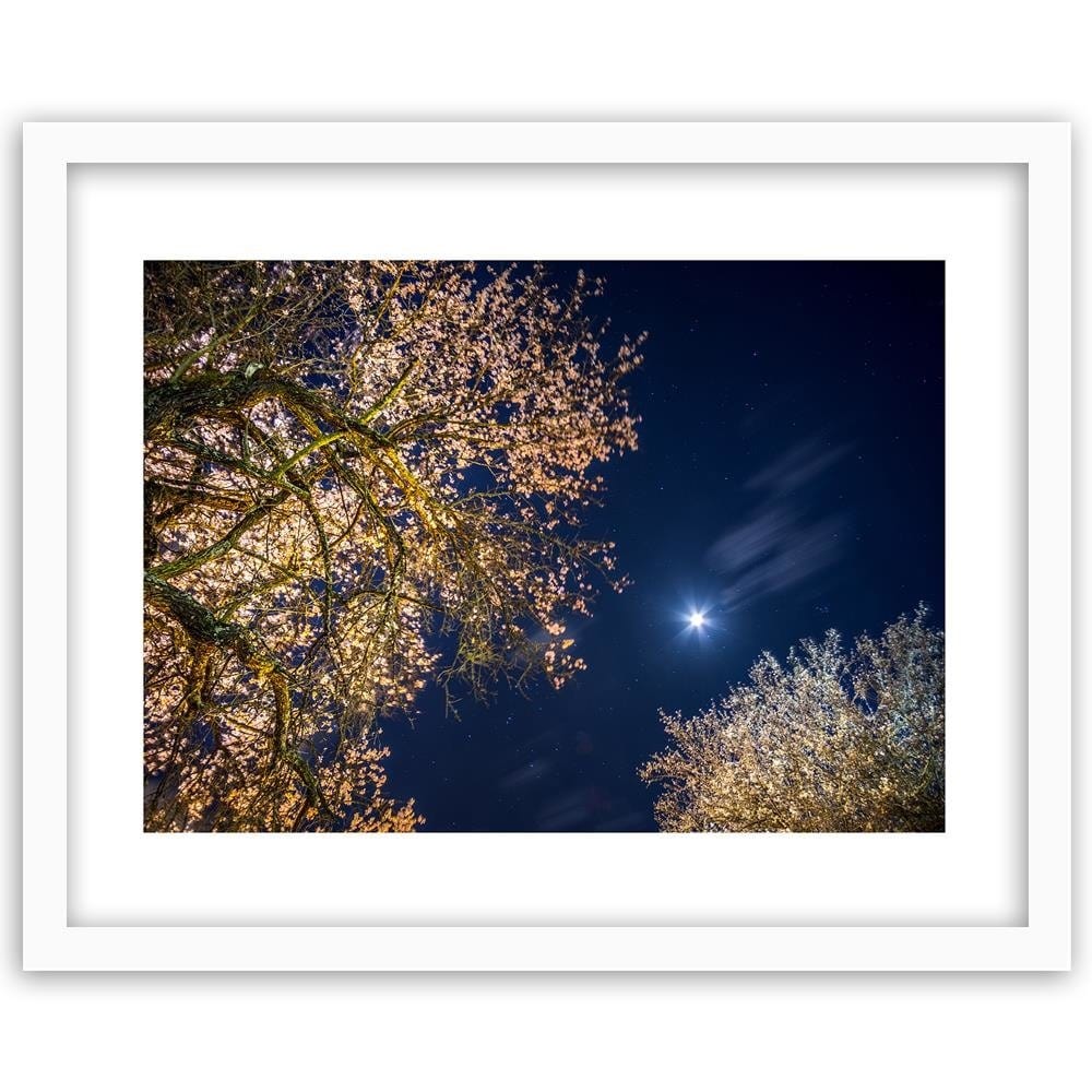 Glezna baltā rāmī - Moon Over Trees  Home Trends DECO