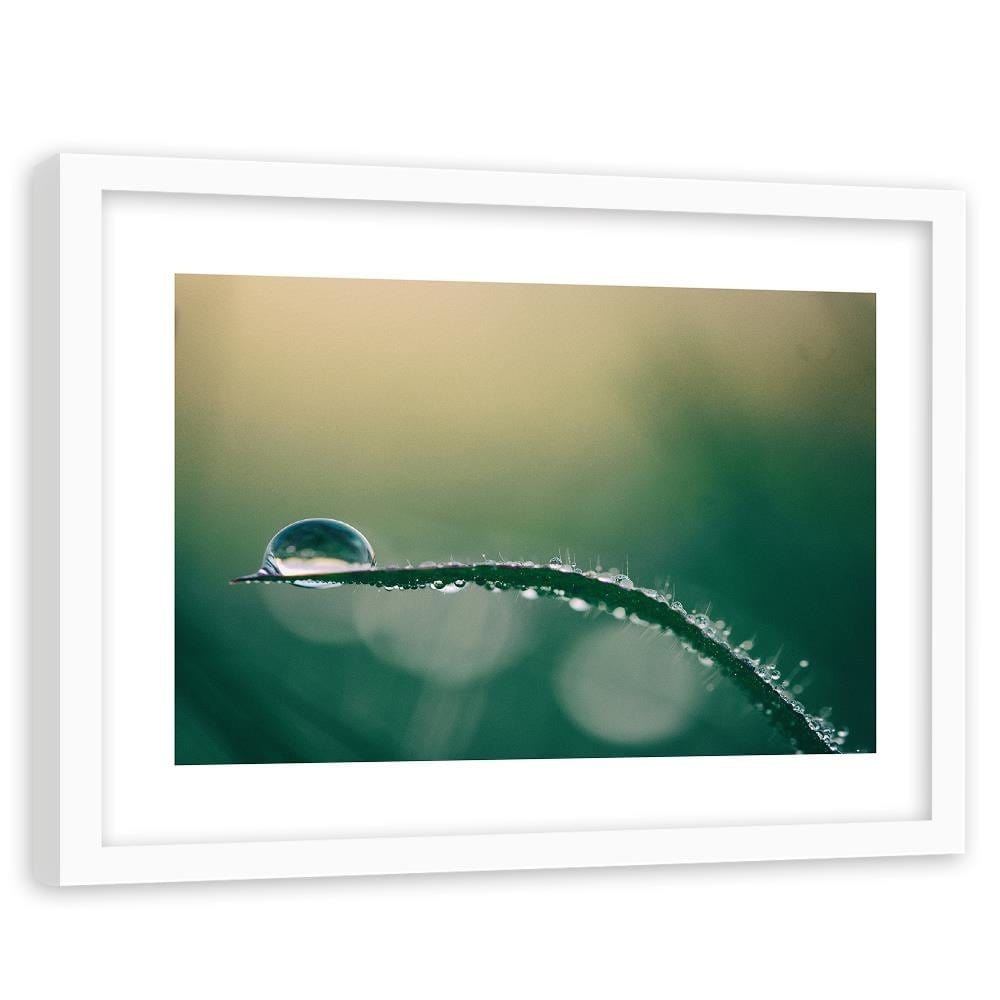 Glezna baltā rāmī - Morning Dew  Home Trends DECO