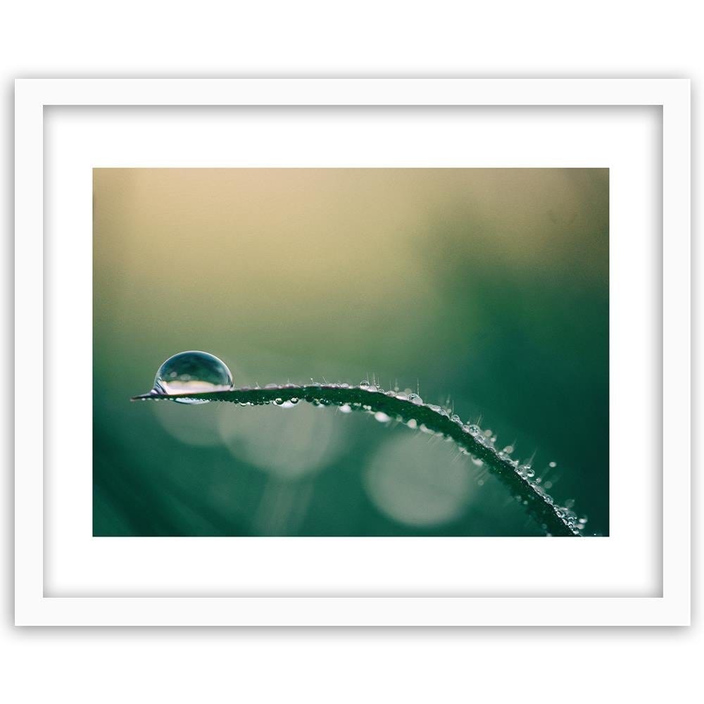 Glezna baltā rāmī - Morning Dew  Home Trends DECO
