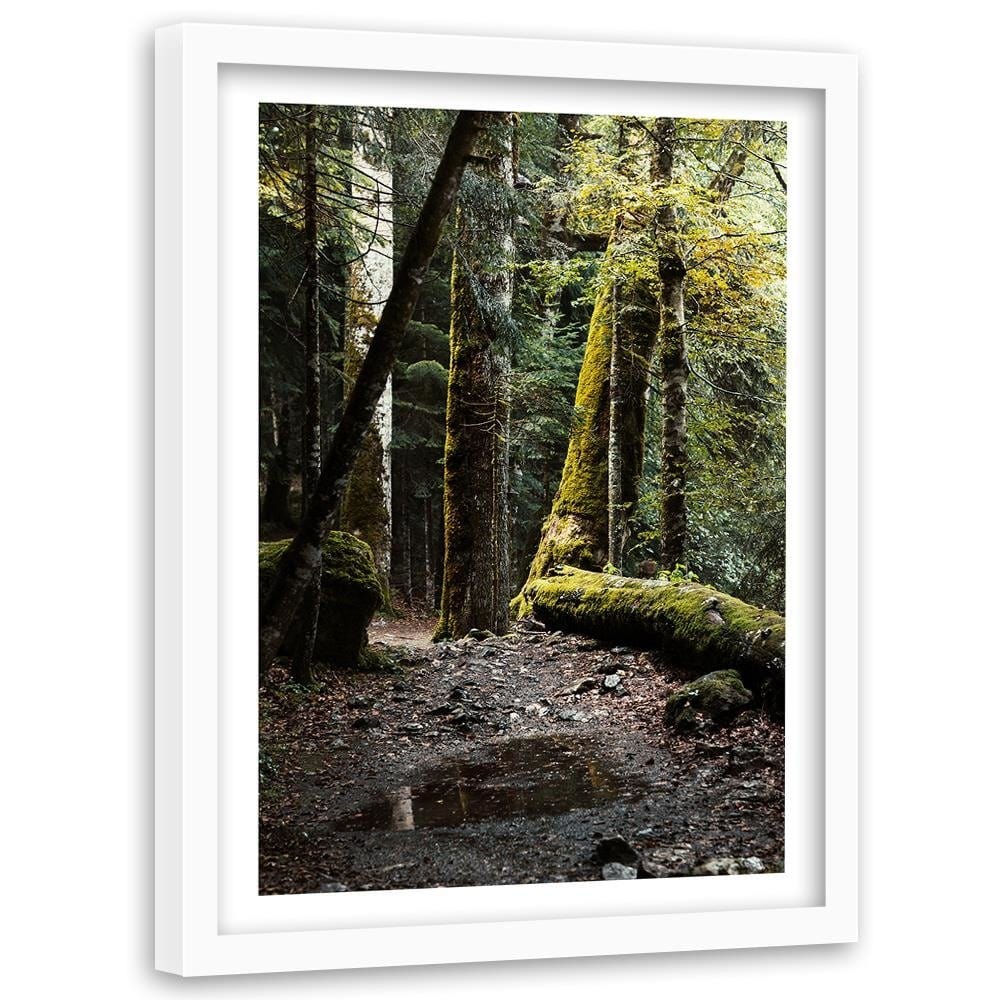 Glezna baltā rāmī - Moss-Covered Tree  Home Trends DECO
