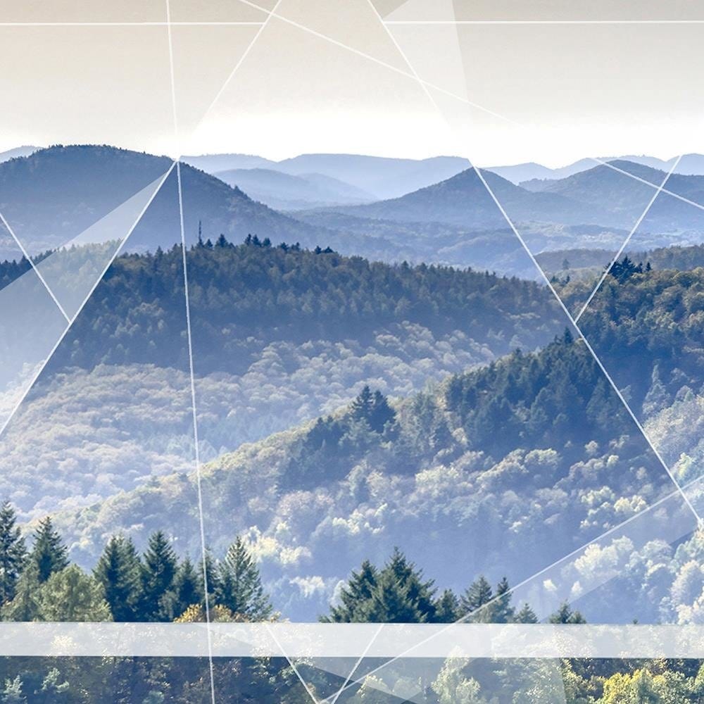 Glezna baltā rāmī - Mountain Tree And Geometry 1  Home Trends DECO