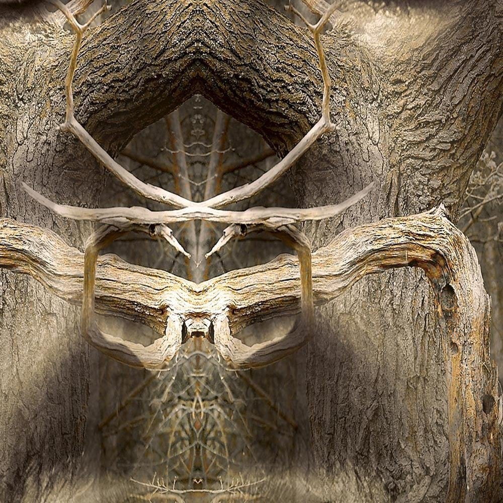 Glezna baltā rāmī - Mysterious Eyes Fantasy  Home Trends DECO