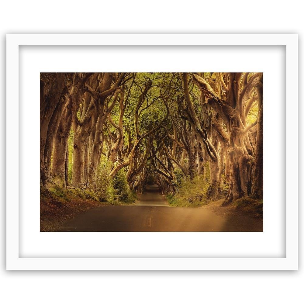 Glezna baltā rāmī - Mysterious Forest  Home Trends DECO