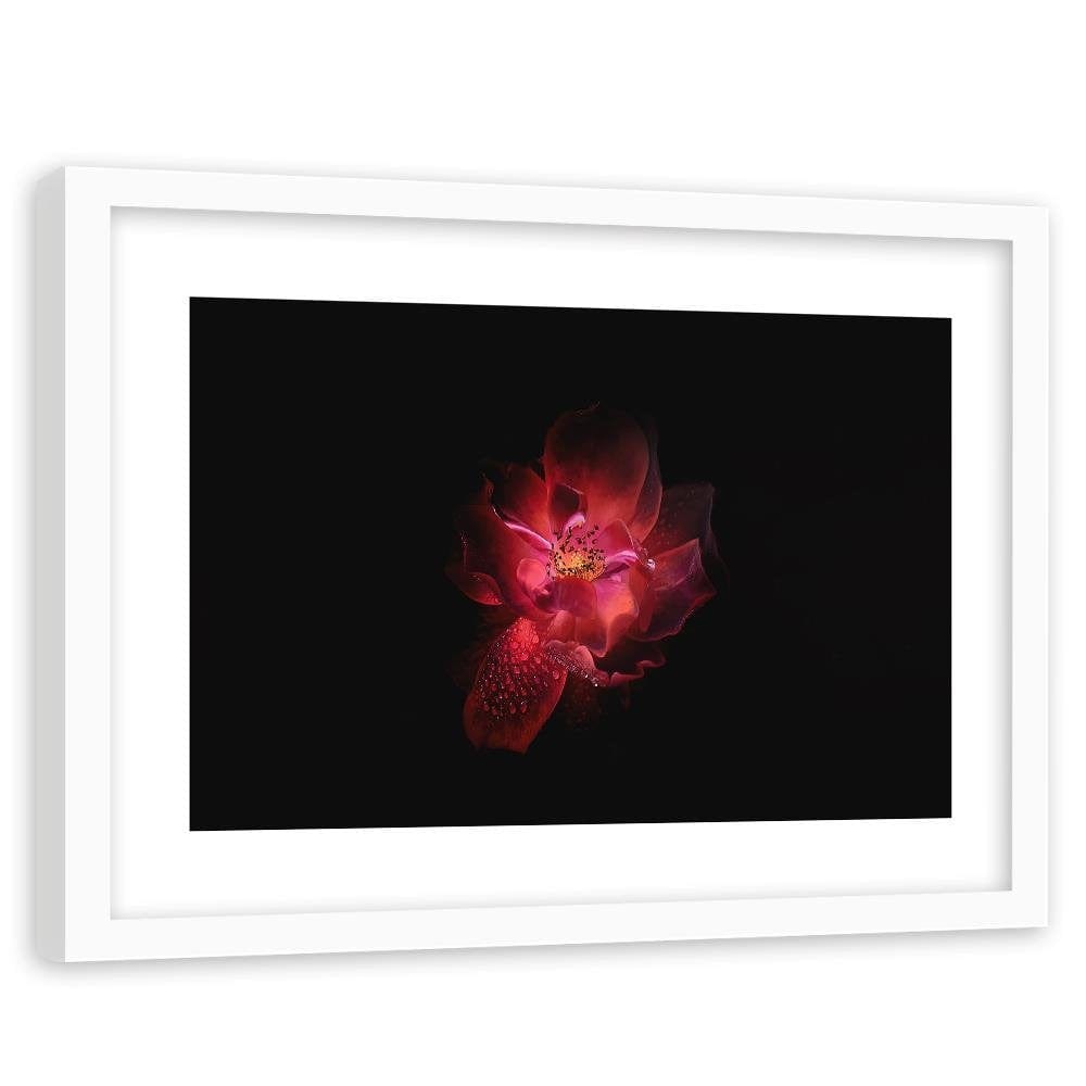 Glezna baltā rāmī - Night Flower  Home Trends DECO