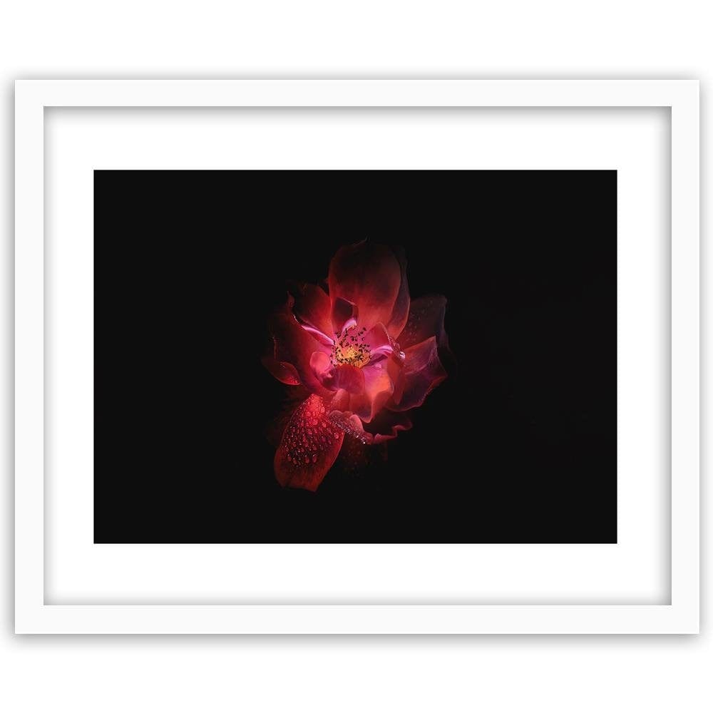Glezna baltā rāmī - Night Flower  Home Trends DECO