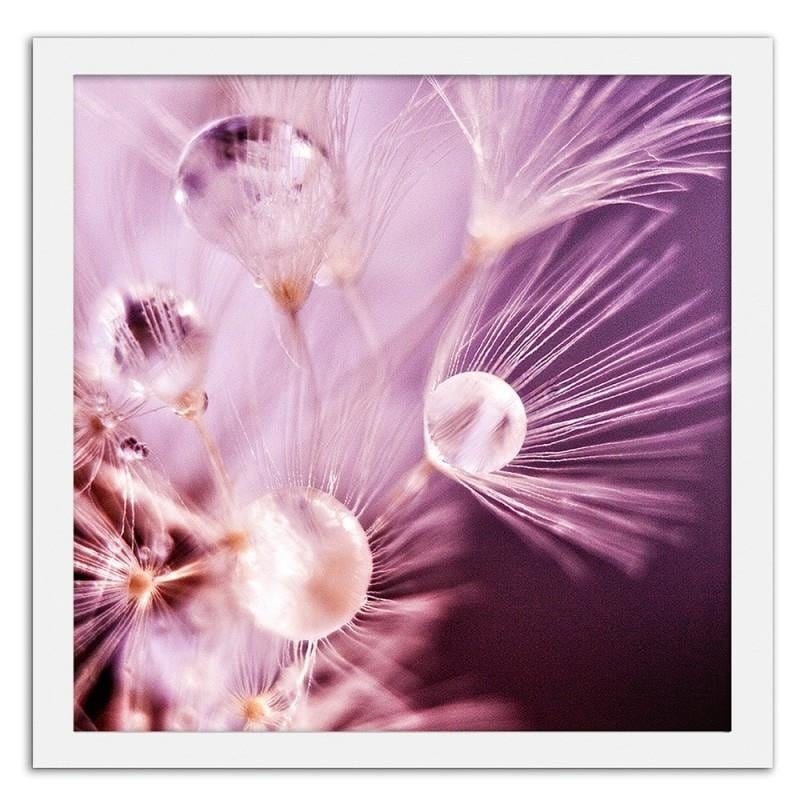Glezna baltā rāmī - Nun seeds and water drops  Home Trends DECO