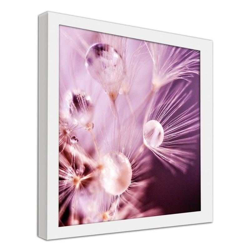 Glezna baltā rāmī - Nun seeds and water drops  Home Trends DECO