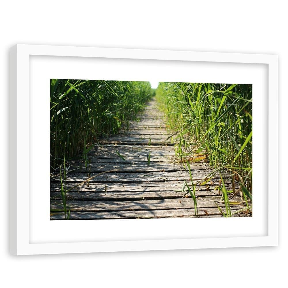 Glezna baltā rāmī - Old Bridge In The Reeds  Home Trends DECO