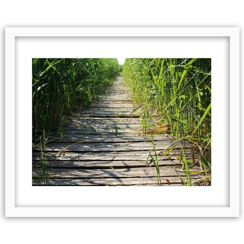 Glezna baltā rāmī - Old Bridge In The Reeds  Home Trends DECO