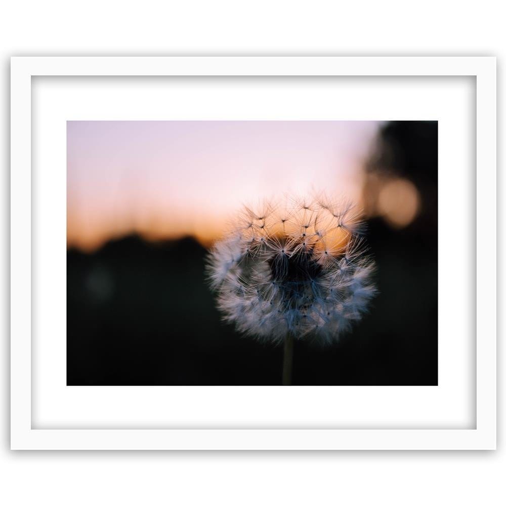 Glezna baltā rāmī - One Of Dandelion  Home Trends DECO