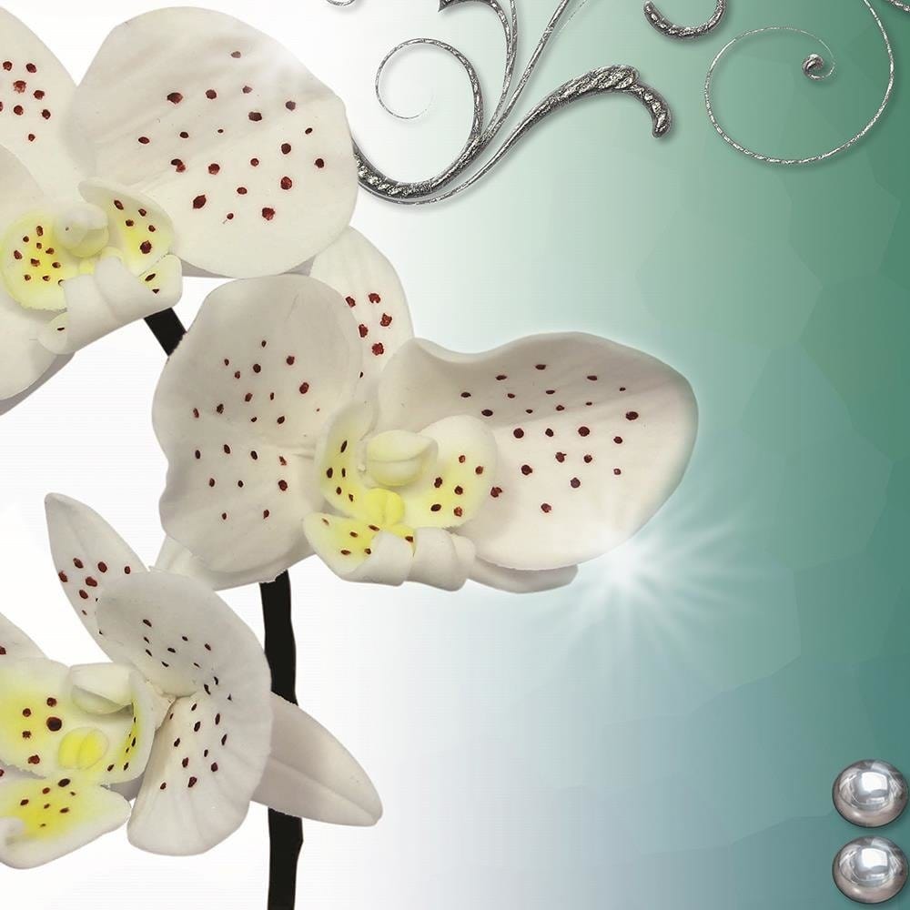 Glezna baltā rāmī - Orchid Speckled  Home Trends DECO
