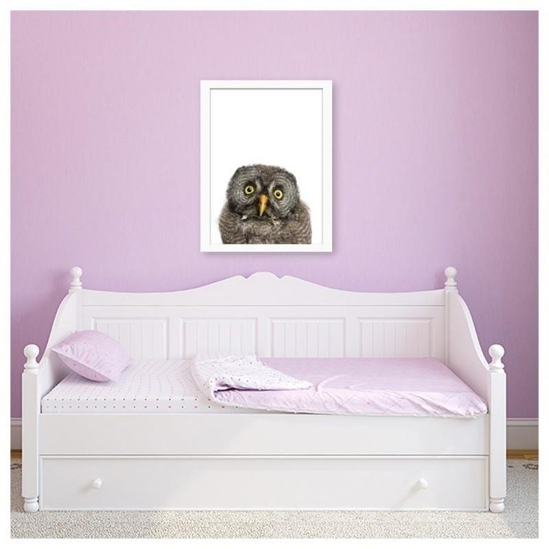 Glezna baltā rāmī - Owl  Home Trends DECO