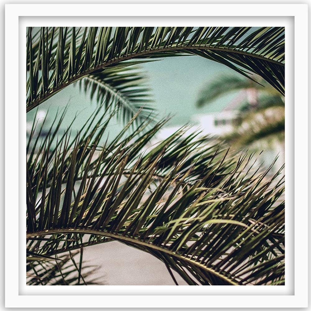 Glezna baltā rāmī - Palm Leaves 2  Home Trends DECO