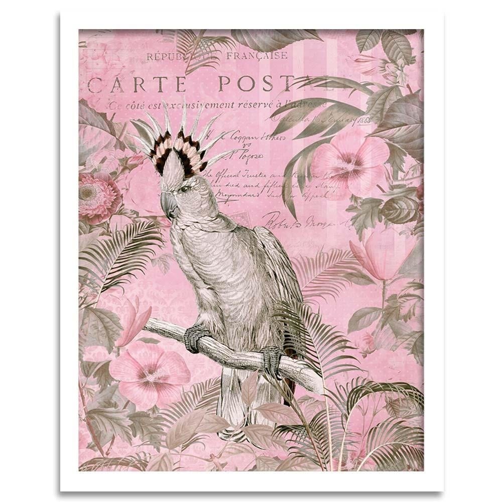 Glezna baltā rāmī - Parrot Queen  Home Trends DECO