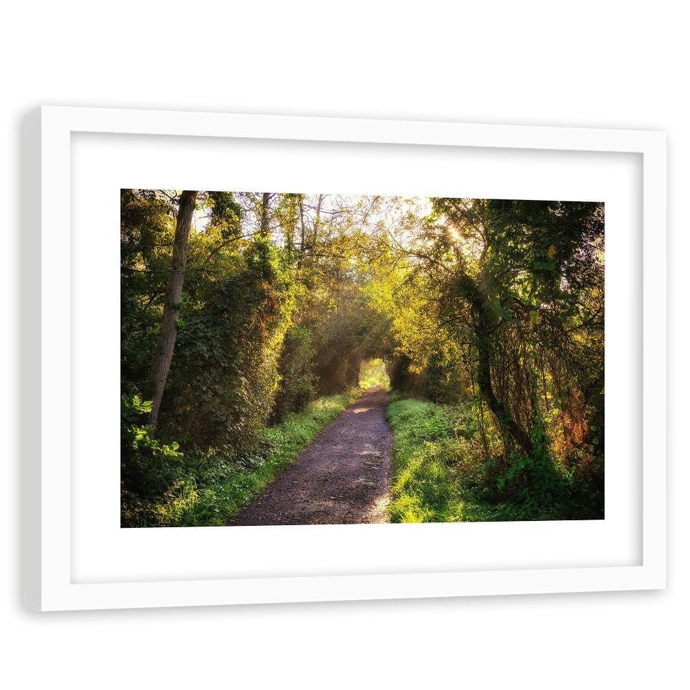 Glezna baltā rāmī - Path In Dense Forest  Home Trends DECO
