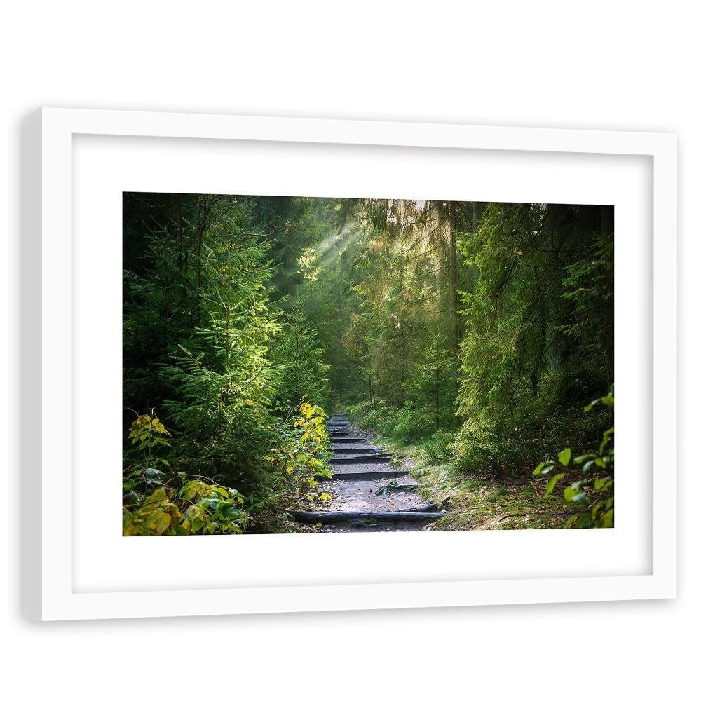 Glezna baltā rāmī - Path In Green Forest  Home Trends DECO