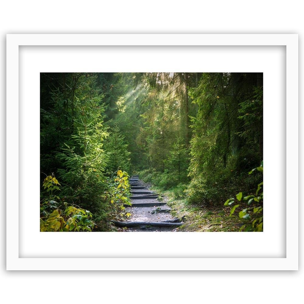 Glezna baltā rāmī - Path In Green Forest  Home Trends DECO