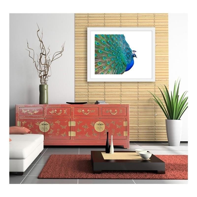 Glezna baltā rāmī - Peacock with a tail spread out  Home Trends DECO