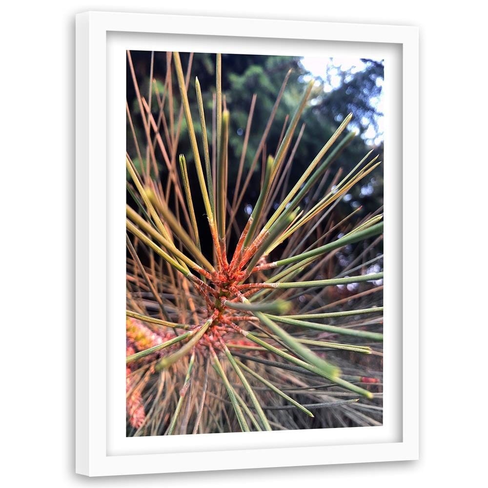 Glezna baltā rāmī - Pine Needles  Home Trends DECO