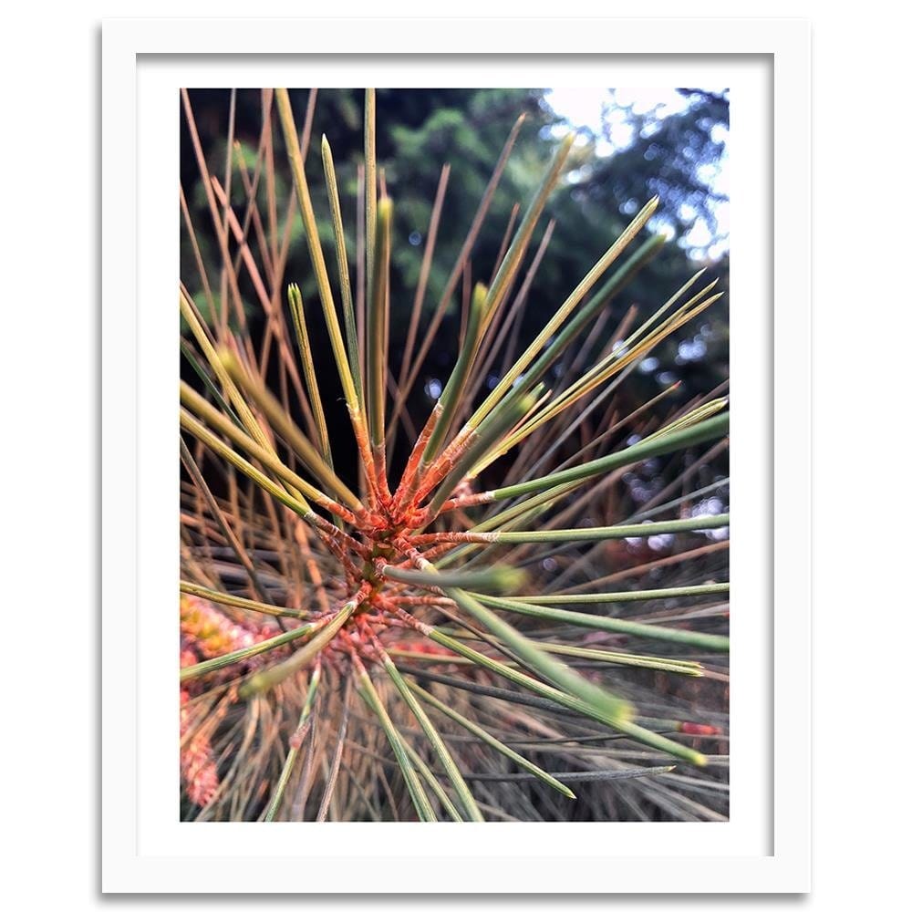 Glezna baltā rāmī - Pine Needles  Home Trends DECO