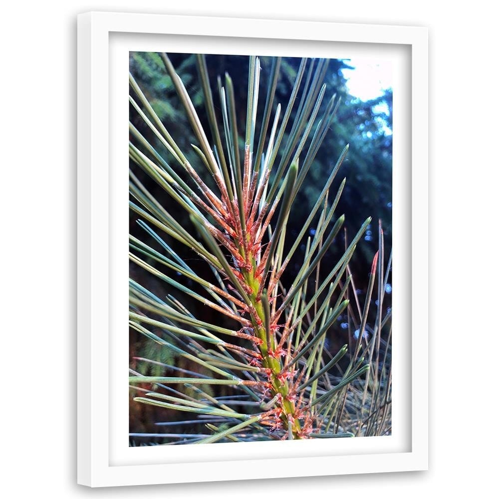 Glezna baltā rāmī - Pine Needles  Home Trends DECO