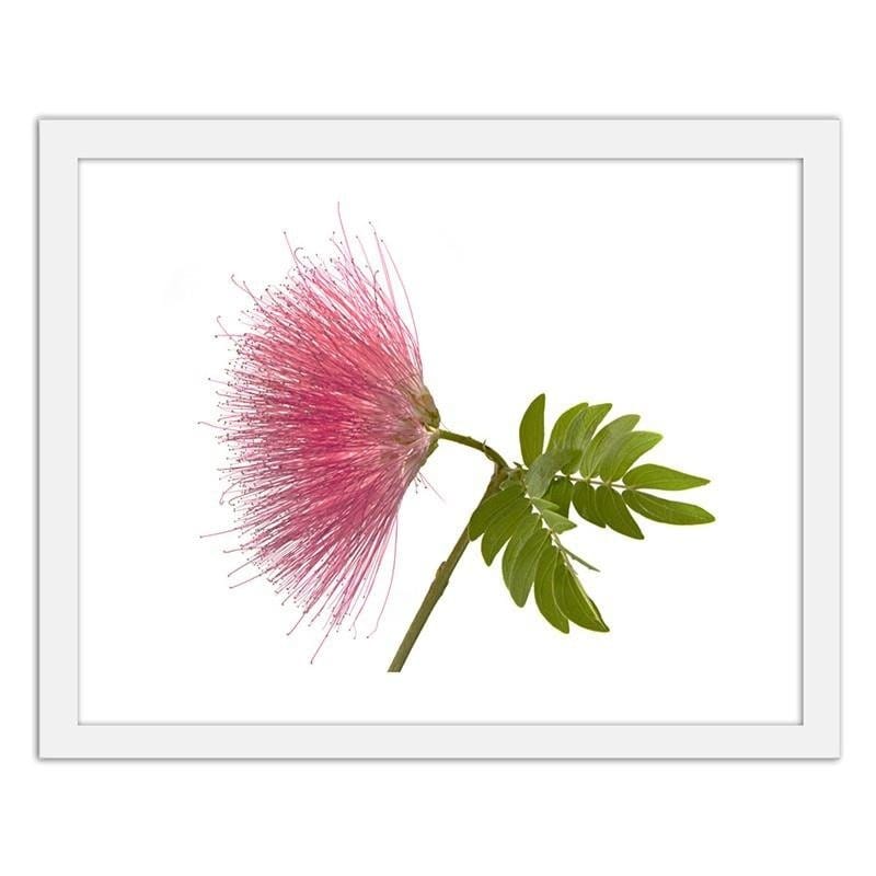 Glezna baltā rāmī - Pink flower 2  Home Trends DECO