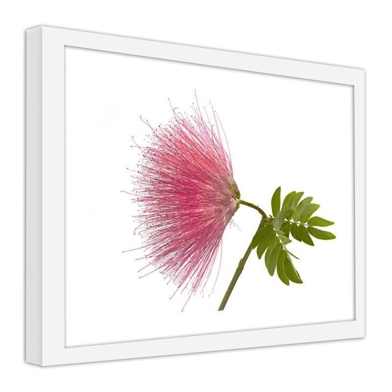 Glezna baltā rāmī - Pink flower 2  Home Trends DECO