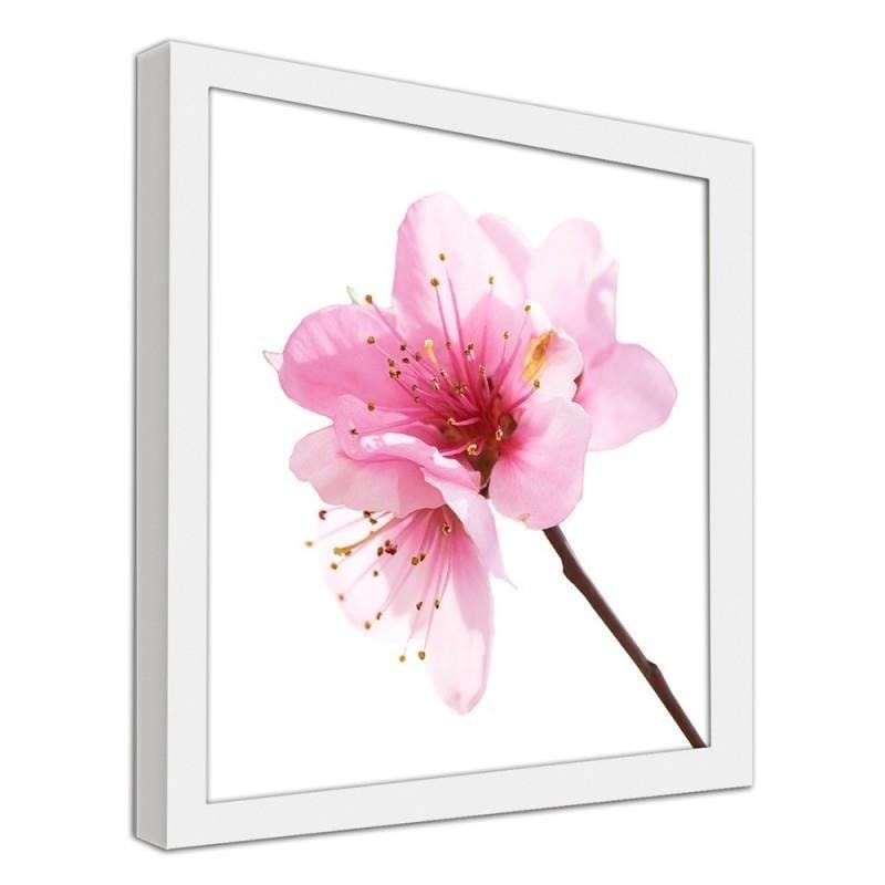 Glezna baltā rāmī - Pink flower 3  Home Trends DECO