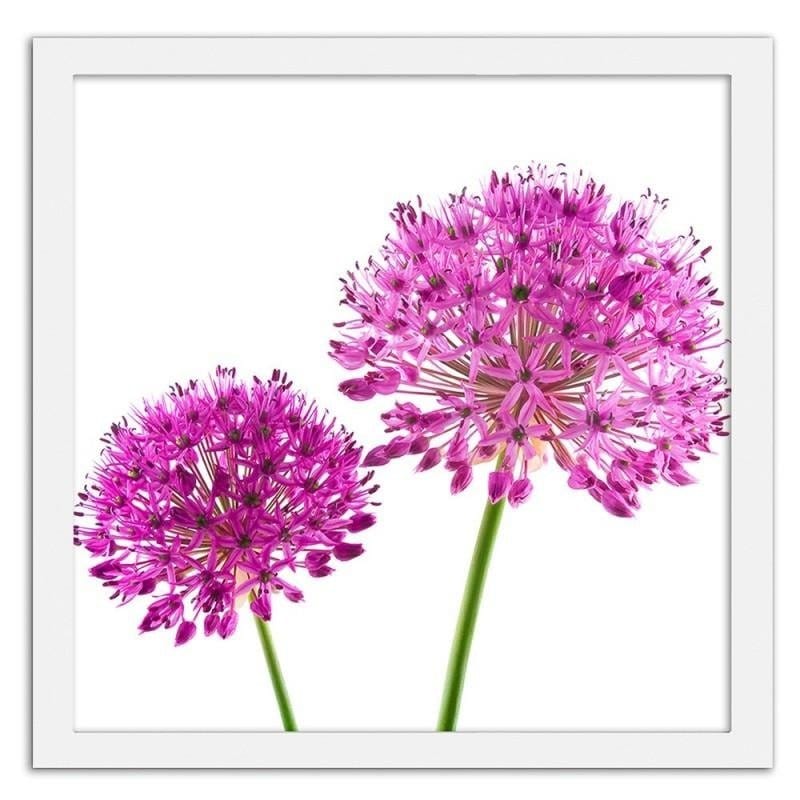 Glezna baltā rāmī - Pink garlic flower  Home Trends DECO