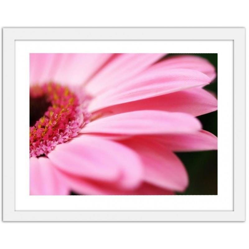 Glezna baltā rāmī - Pink gerbera  Home Trends DECO