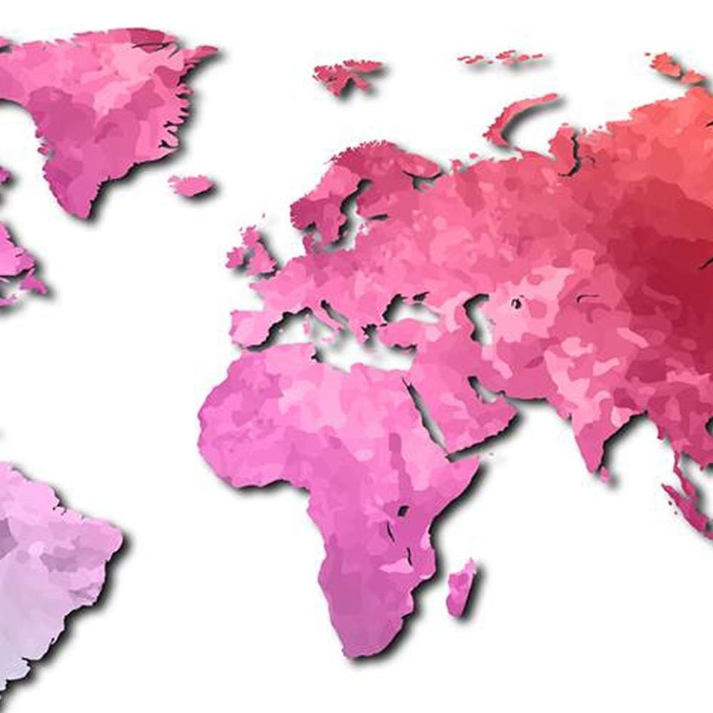 Glezna baltā rāmī - Pink World Map  Home Trends DECO