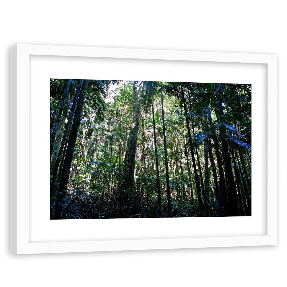 Glezna baltā rāmī - Plants In The Jungle  Home Trends DECO