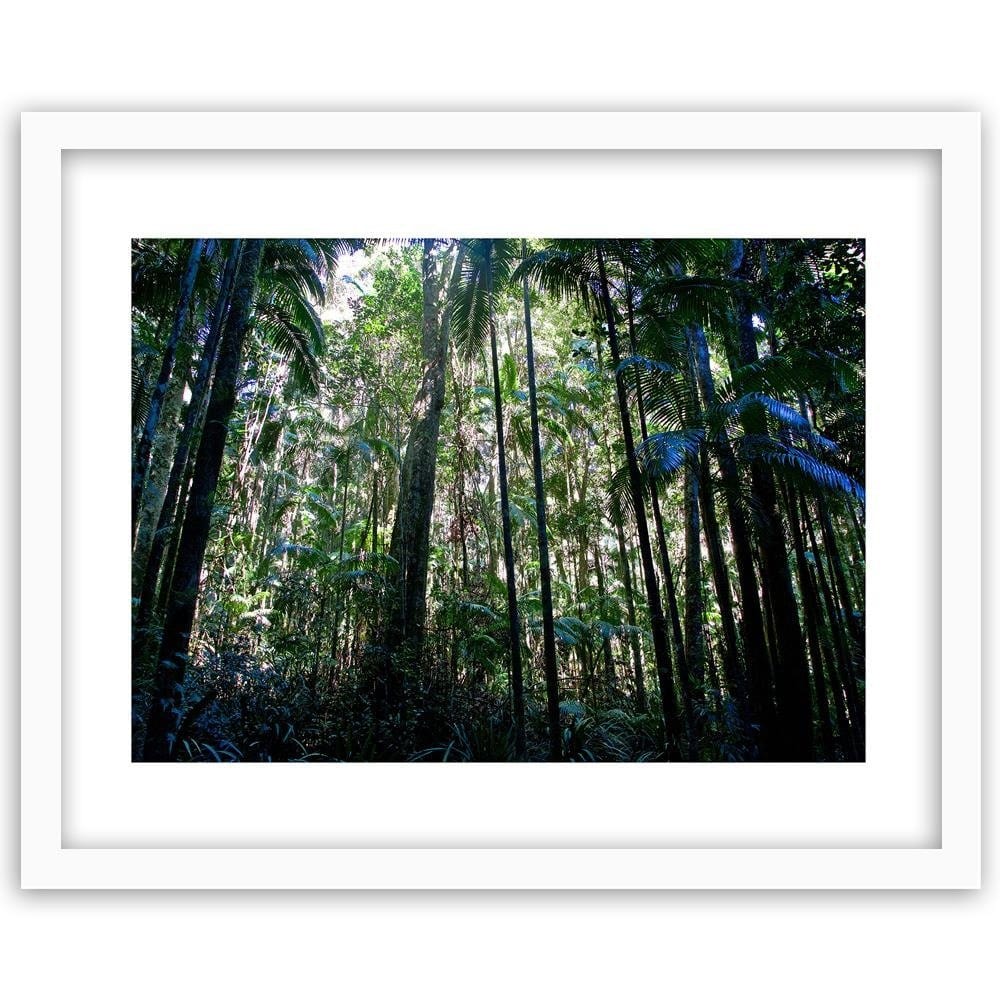 Glezna baltā rāmī - Plants In The Jungle  Home Trends DECO
