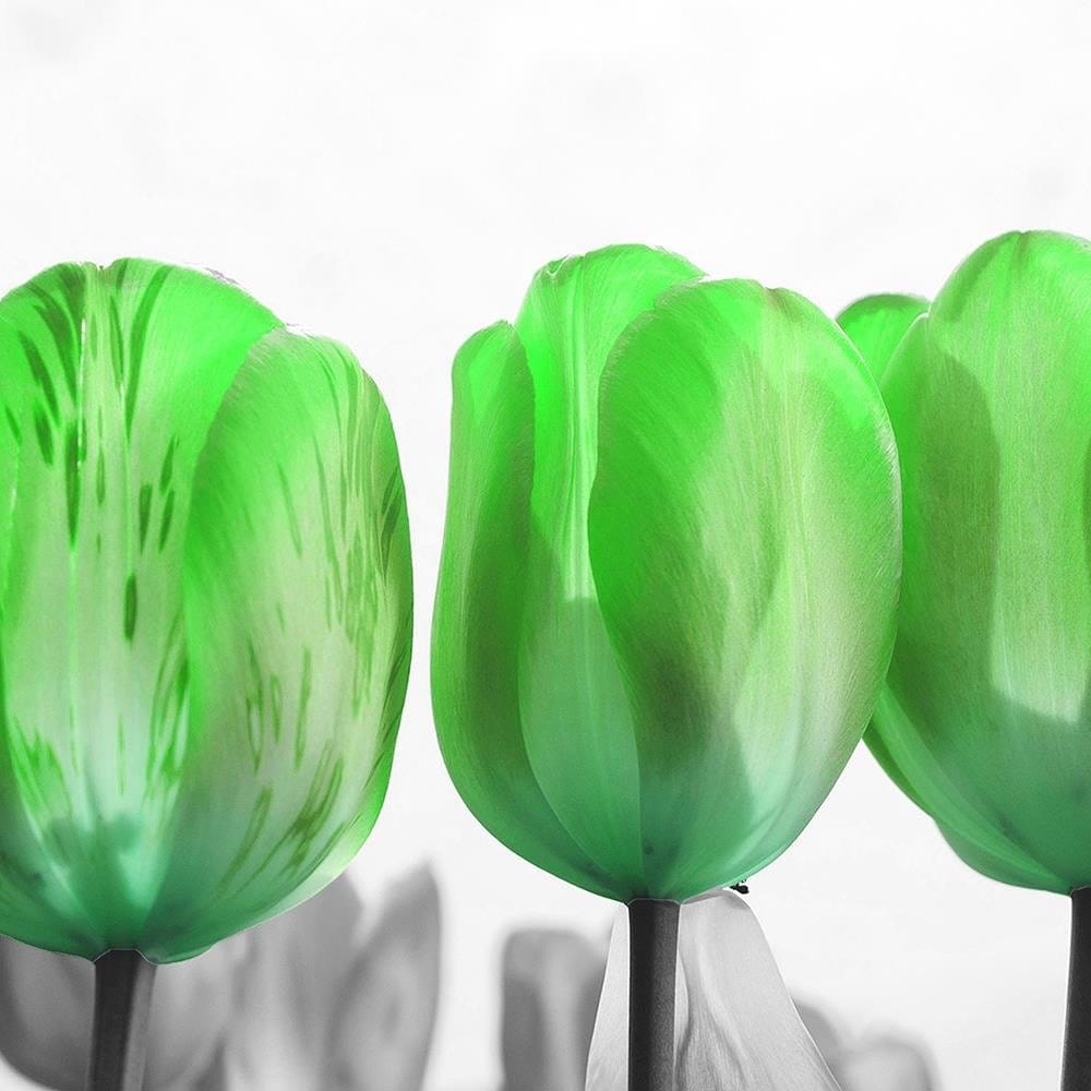 Glezna baltā rāmī - Poppies On Green Meadow  Home Trends DECO