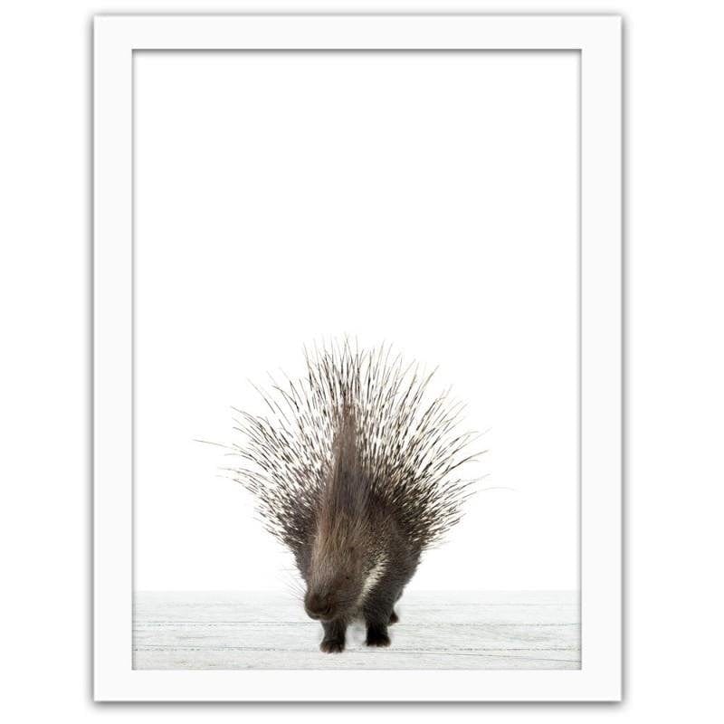 Glezna baltā rāmī - Porcupine  Home Trends DECO