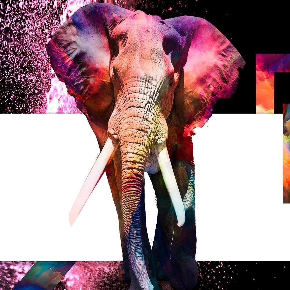 Glezna baltā rāmī - Powerful Elephant 1  Home Trends DECO