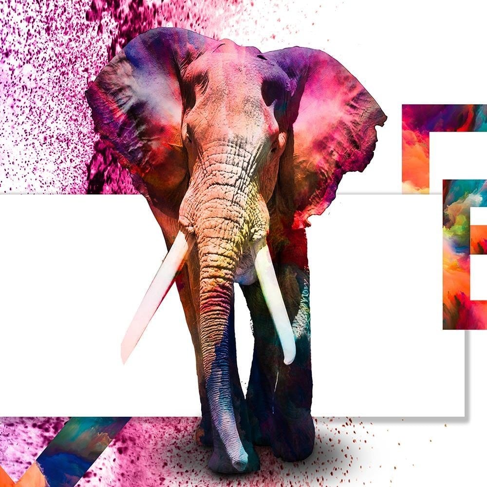 Glezna baltā rāmī - Powerful Elephant  Home Trends DECO