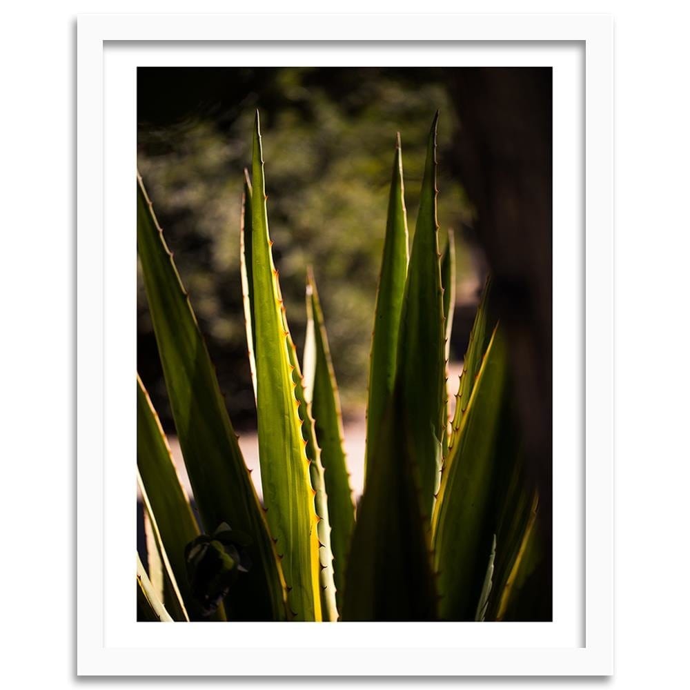 Glezna baltā rāmī - Prickly Leaves  Home Trends DECO