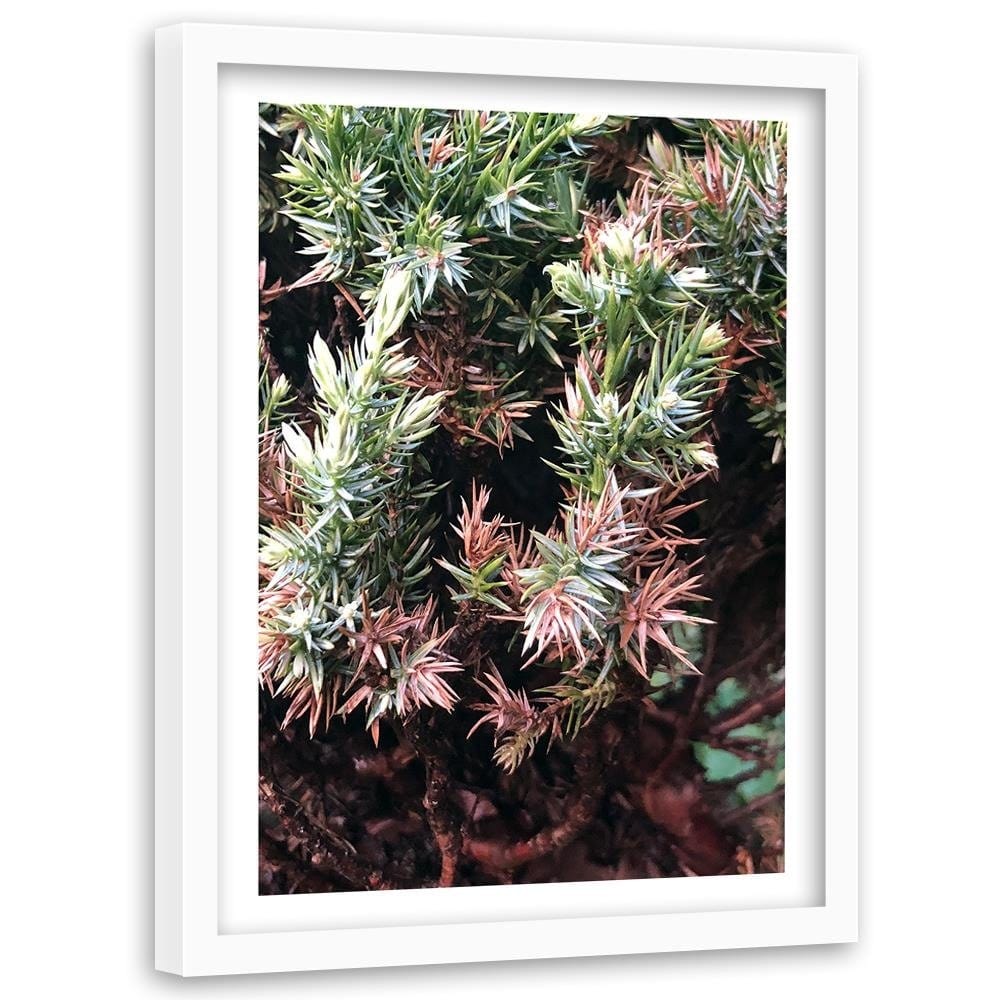 Glezna baltā rāmī - Prickly Shrub  Home Trends DECO