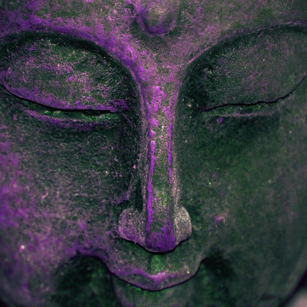 Glezna baltā rāmī - Purple Buddha Head  Home Trends DECO