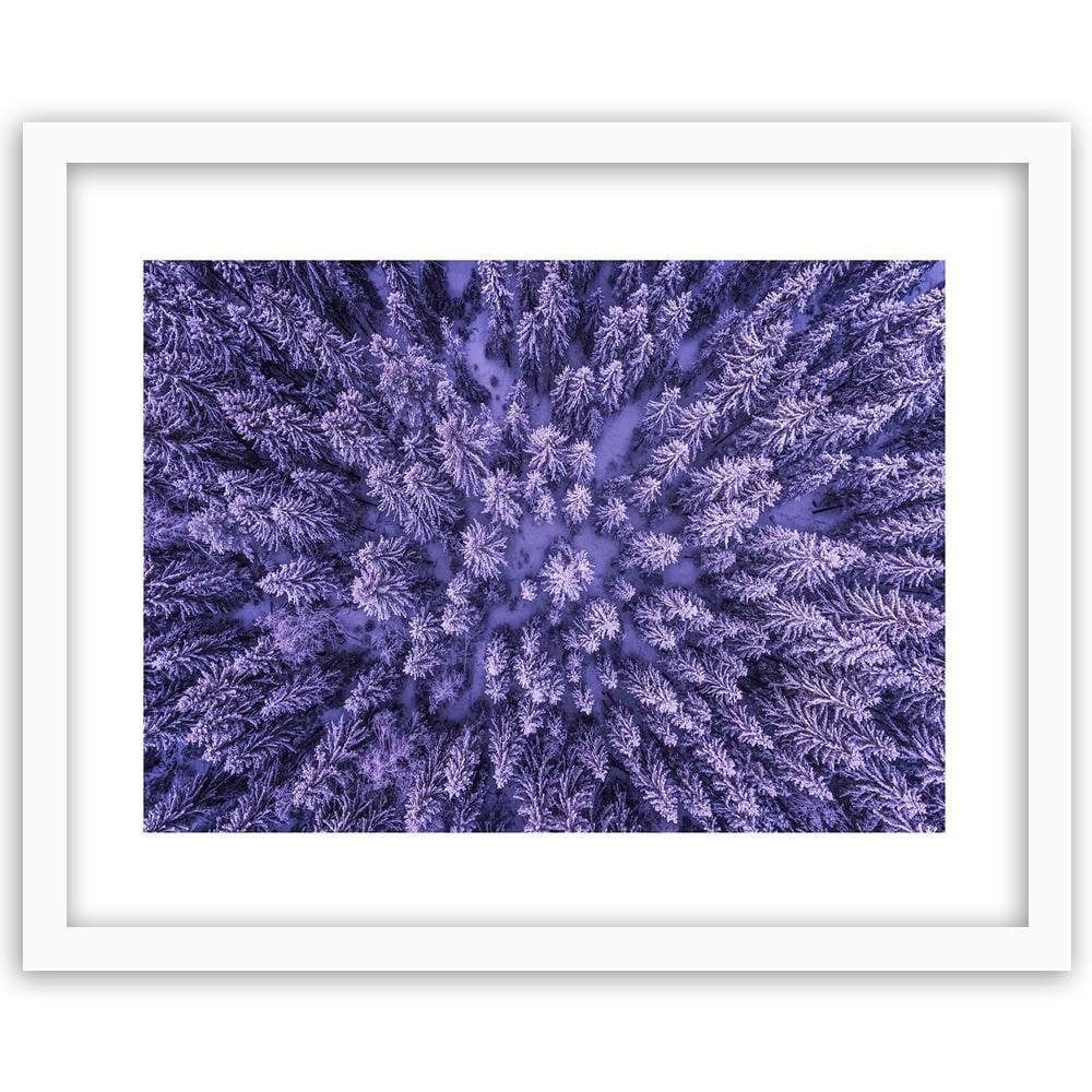 Glezna baltā rāmī - Purple Forest  Home Trends DECO