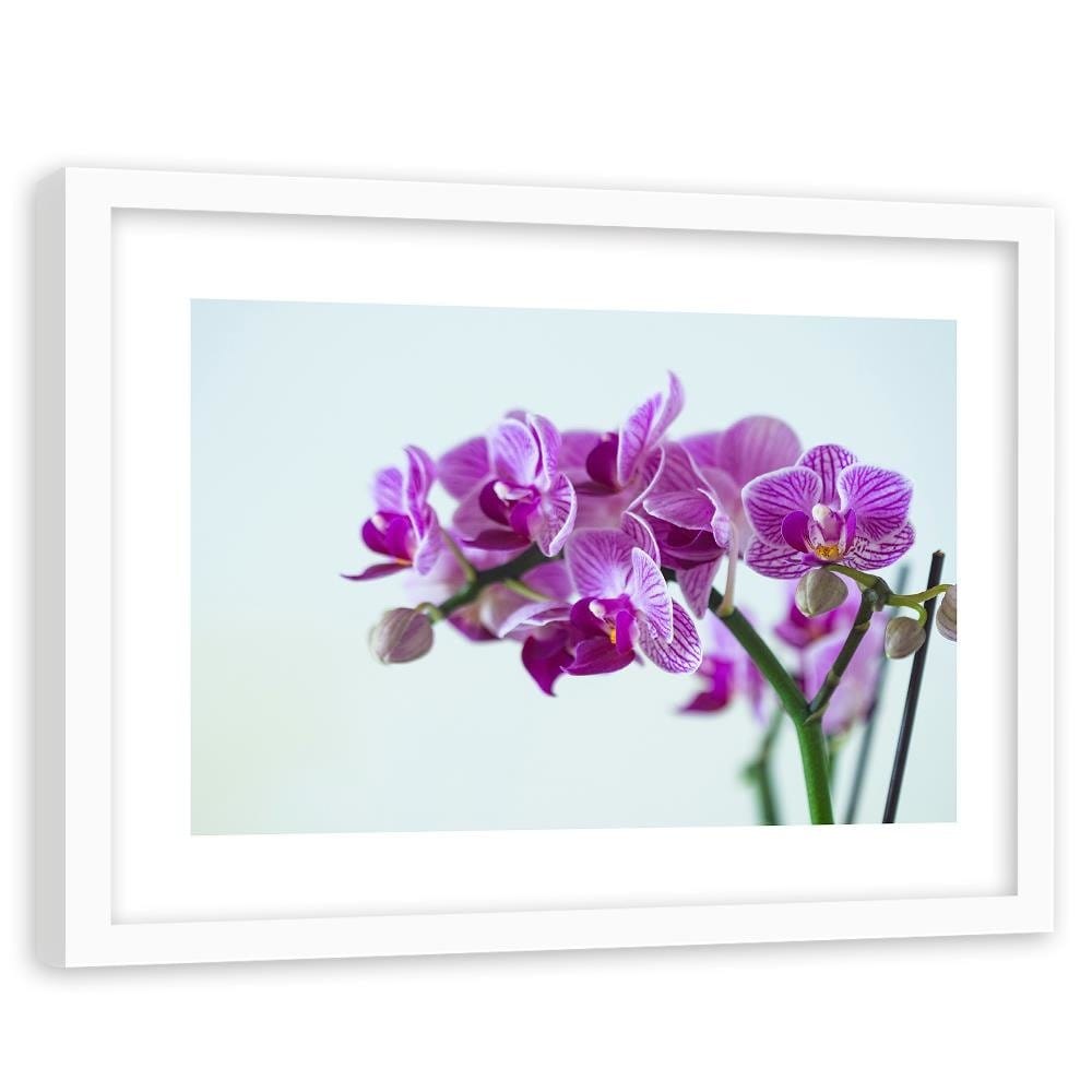 Glezna baltā rāmī - Purple Orchid  Home Trends DECO