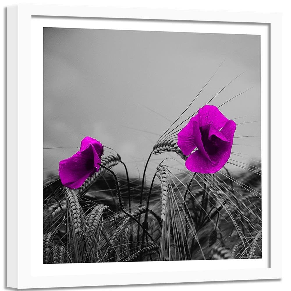 Glezna baltā rāmī - Purple Poppies And Corn  Home Trends DECO