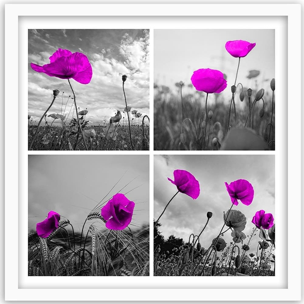 Glezna baltā rāmī - Purple Poppies  Home Trends DECO