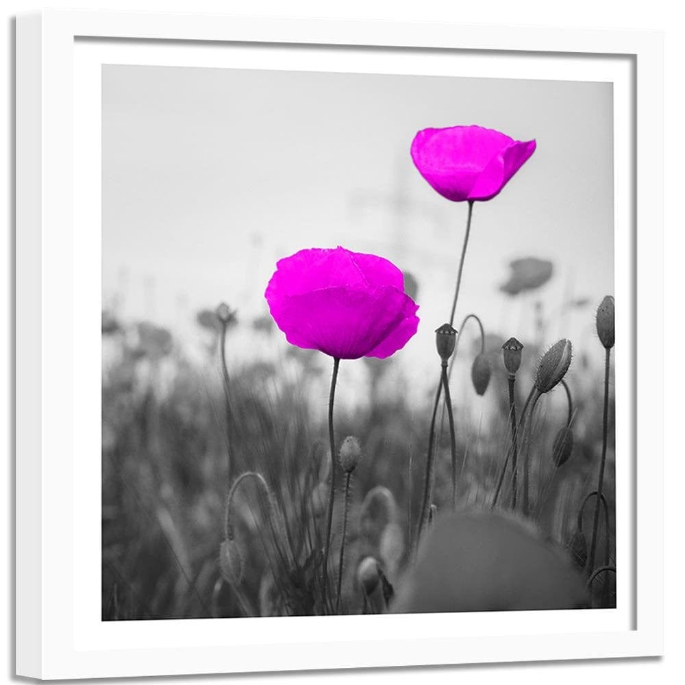 Glezna baltā rāmī - Purple Poppies On The Meadow  Home Trends DECO