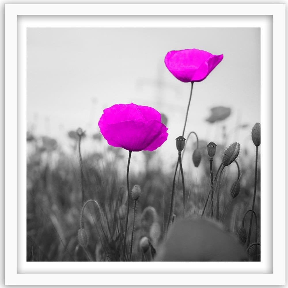 Glezna baltā rāmī - Purple Poppies On The Meadow  Home Trends DECO