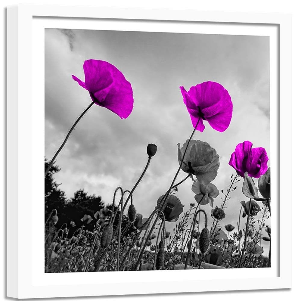 Glezna baltā rāmī - Purple Poppy Flowers  Home Trends DECO